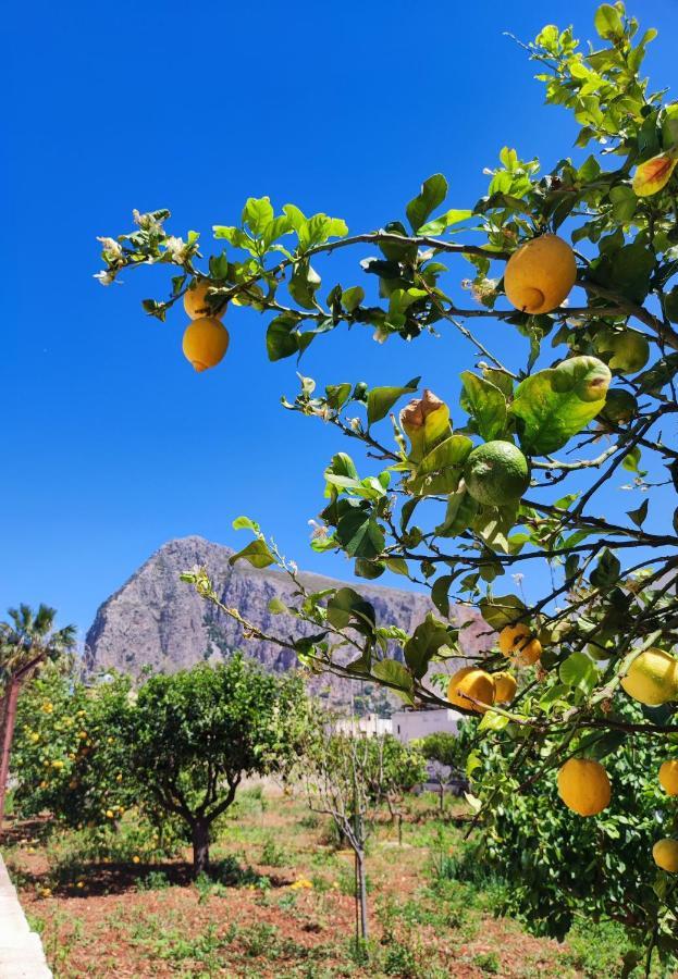 Casa Vacanze Il Faro San Vito Lo Capo-Trapani-Sicilia Ovest Holiday Home Экстерьер фото