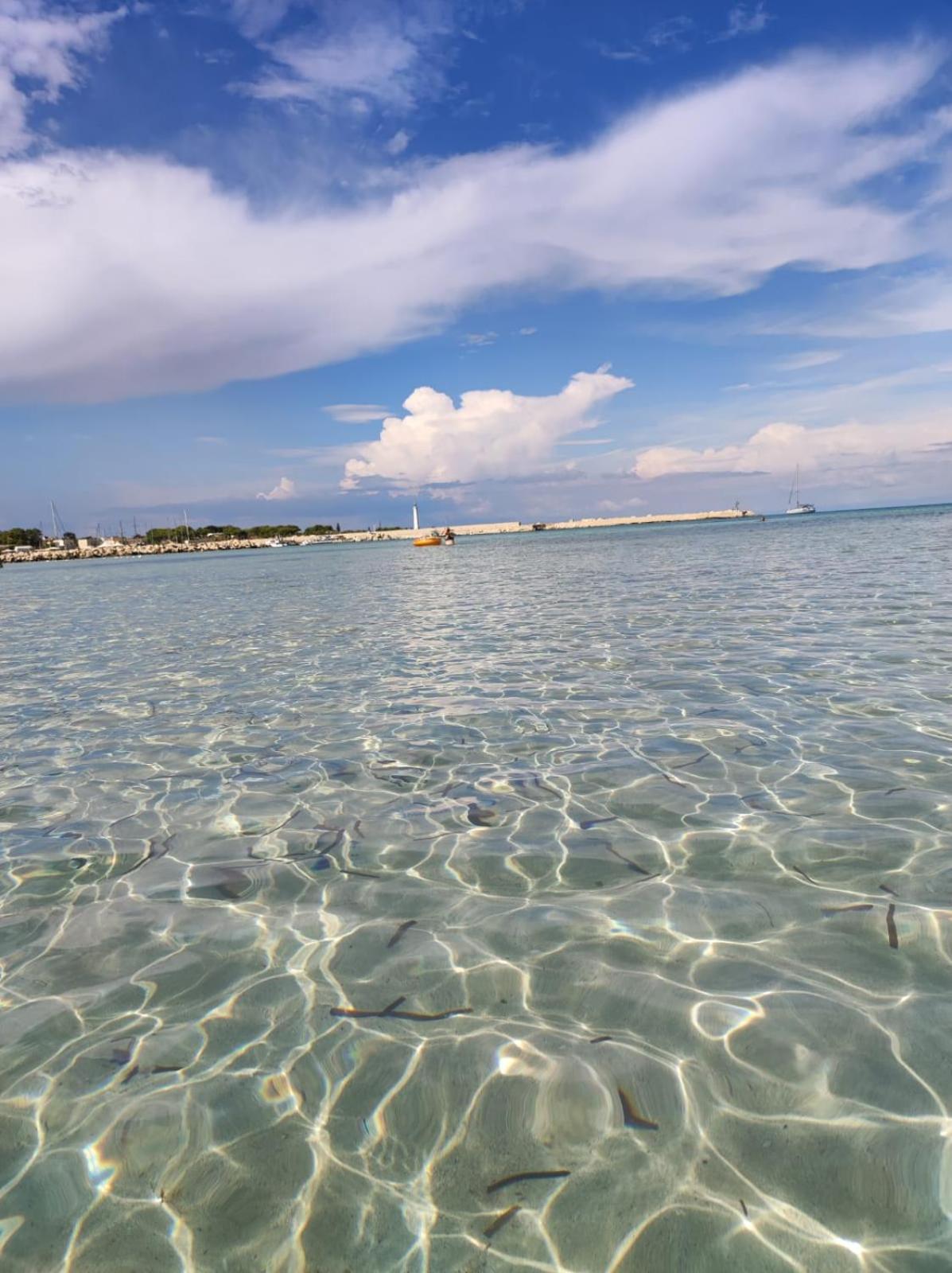 Casa Vacanze Il Faro San Vito Lo Capo-Trapani-Sicilia Ovest Holiday Home Экстерьер фото